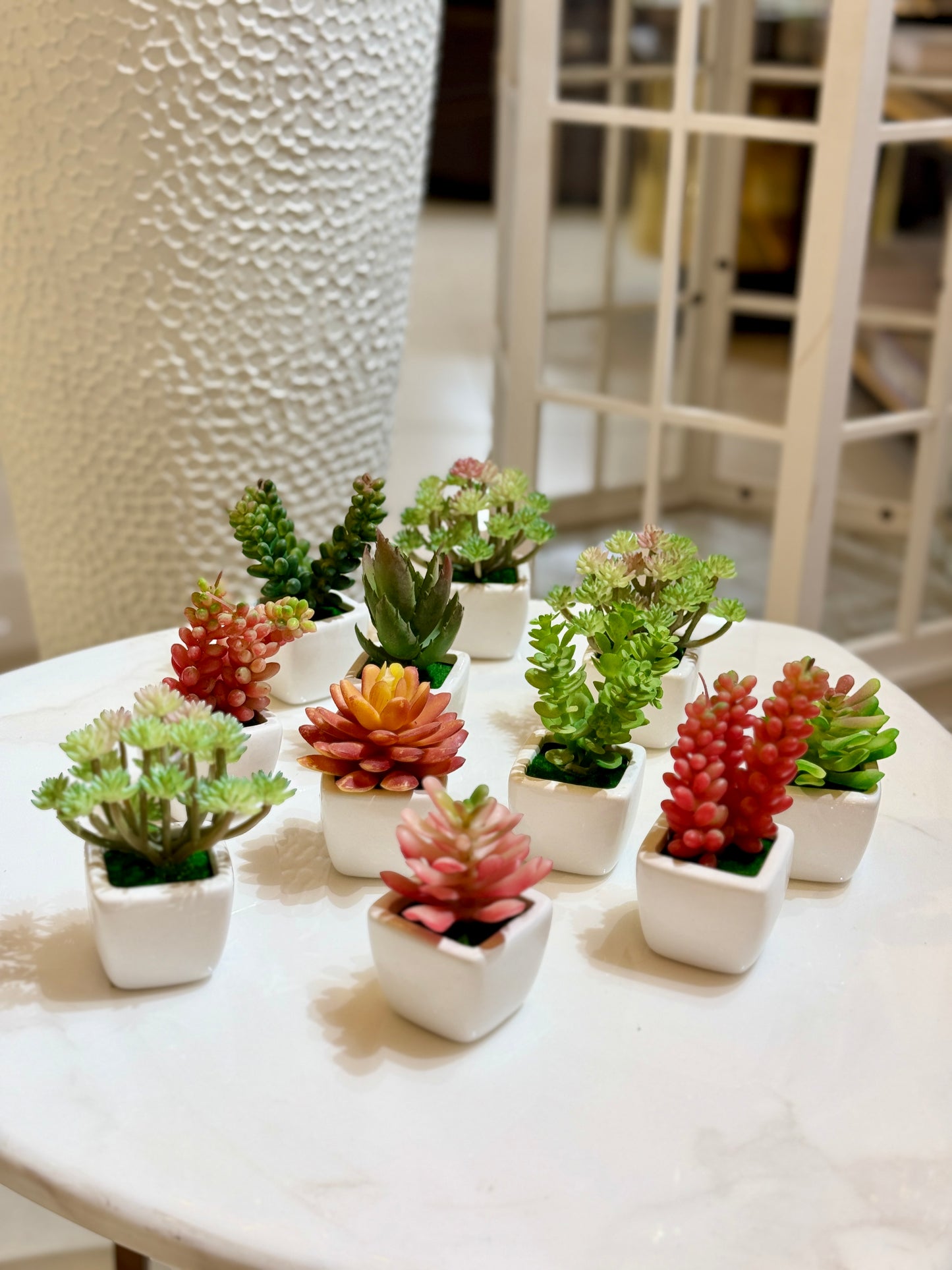 Set of 6 colorful mini artificial cactus and succulent plants in white ceramic pots displayed at Fatima Home Décor store in Islamabad.
