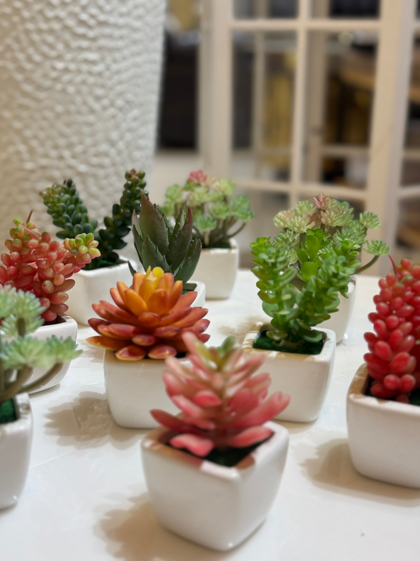 Fatima Home Décor Desert Bloom Mini Artificial Cactus Set - 6 Piece Decorative Succulent Collection