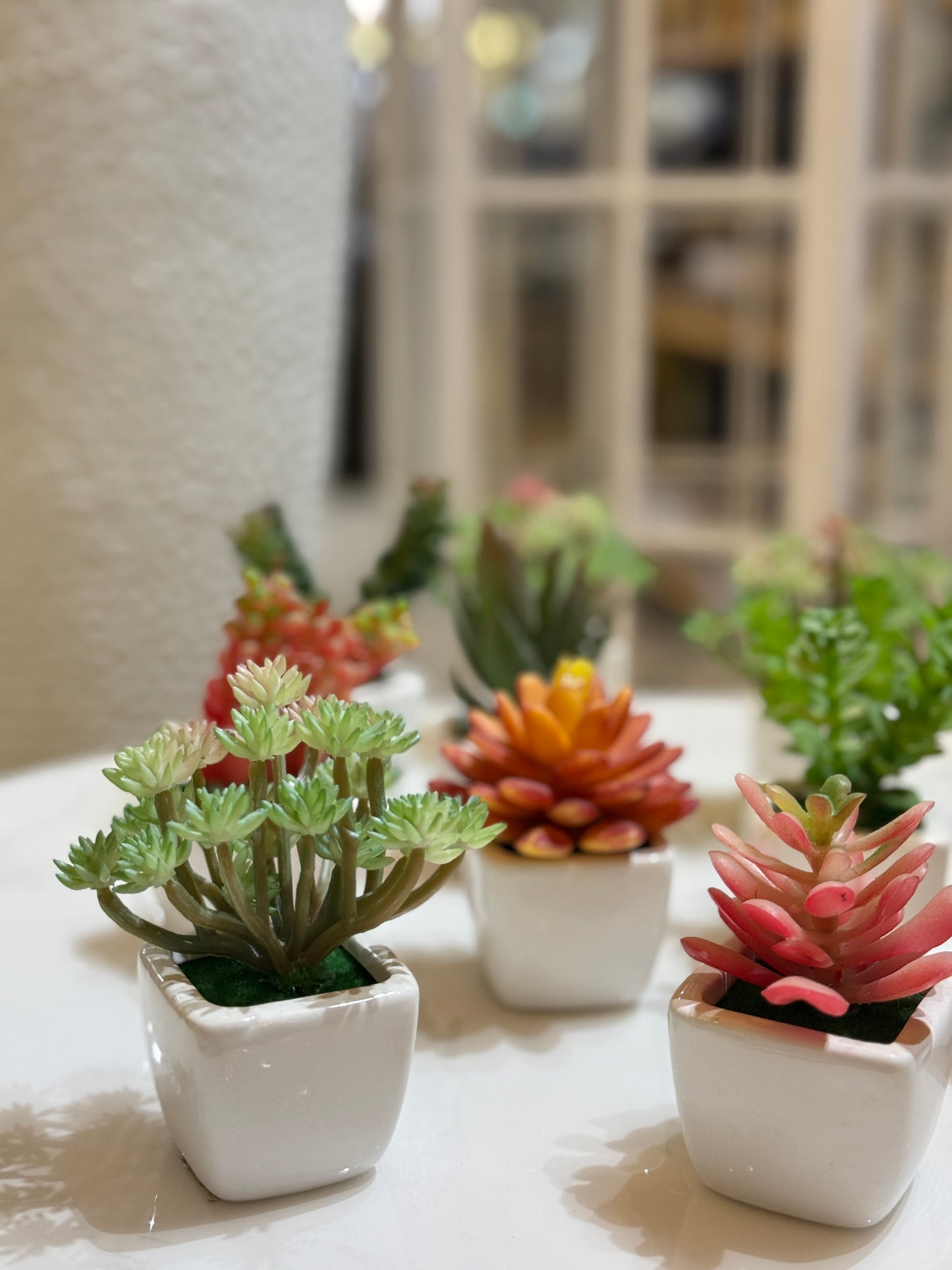 Fatima Home Décor Desert Bloom Mini Artificial Cactus Set - 6 Piece Decorative Succulent Collection