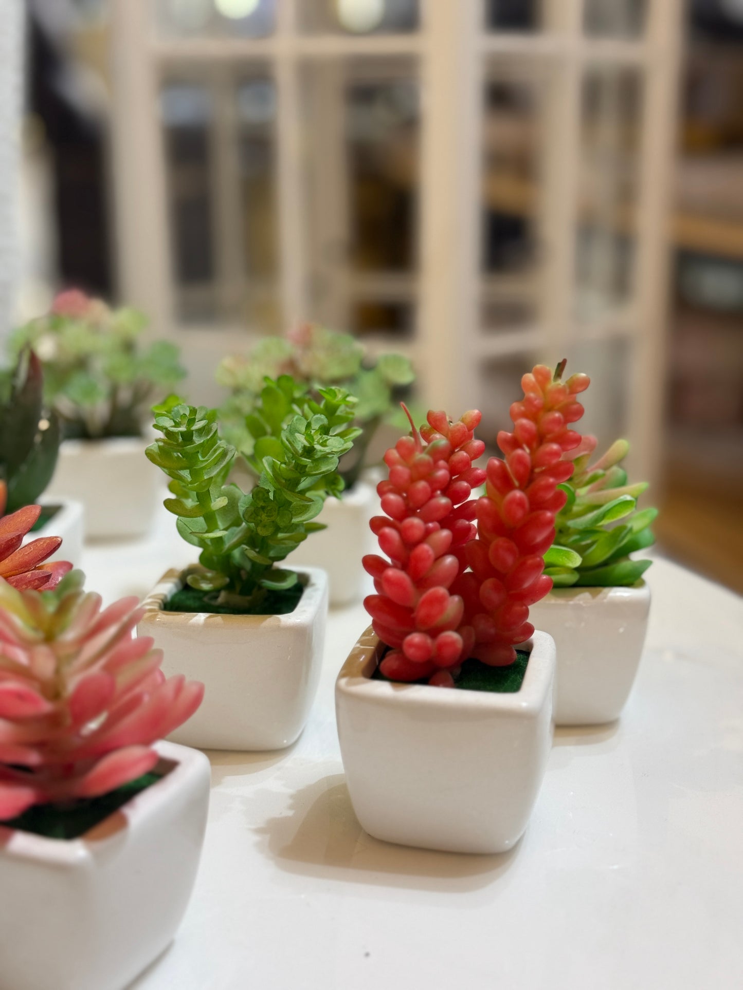 Fatima Home Décor Desert Bloom Mini Artificial Cactus Set - 6 Piece Decorative Succulent Collection