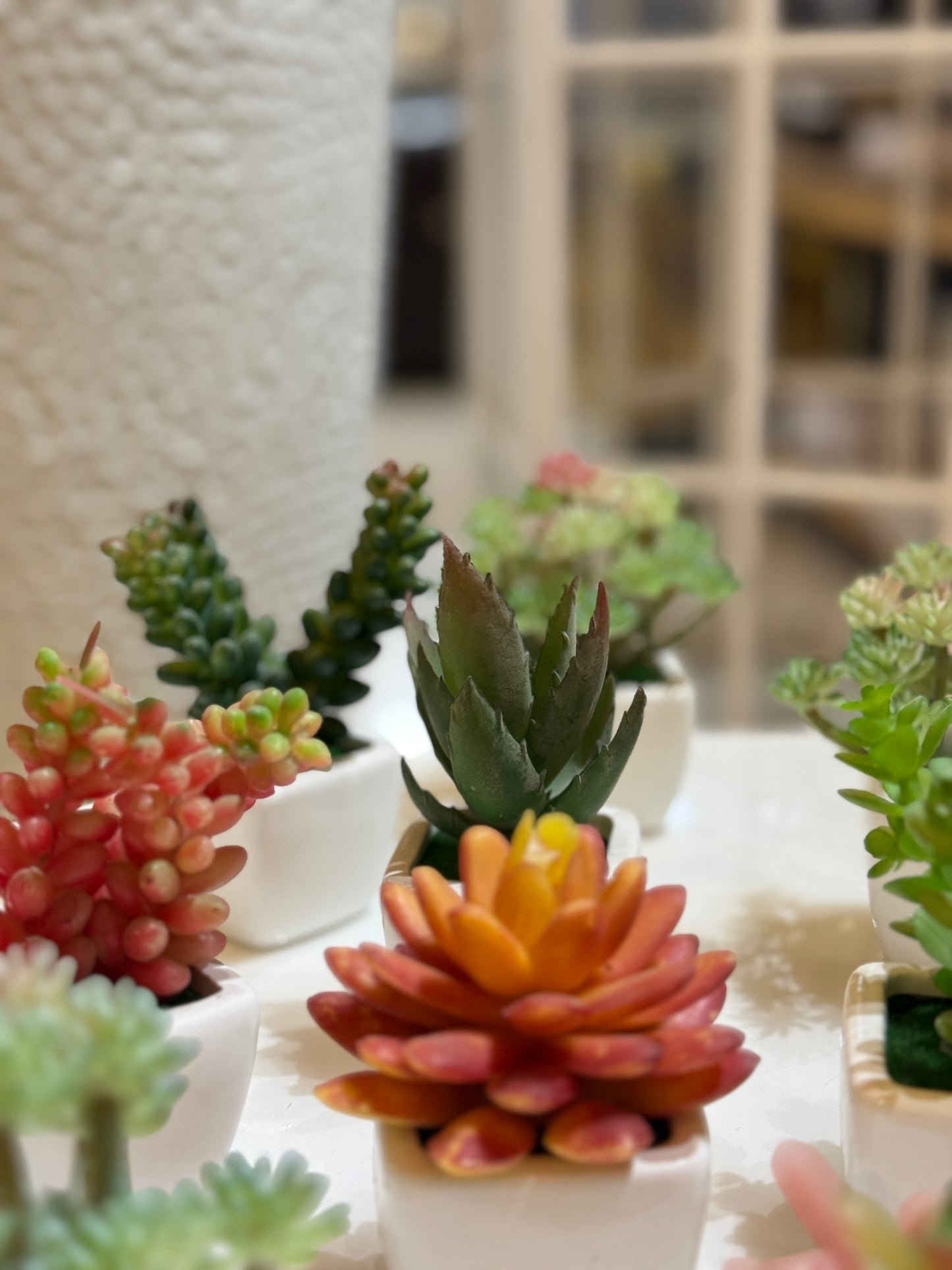 Fatima Home Décor Desert Bloom Mini Artificial Cactus Set - 6 Piece Decorative Succulent Collection